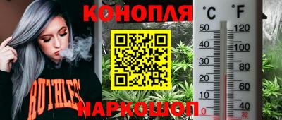 винт Бийск