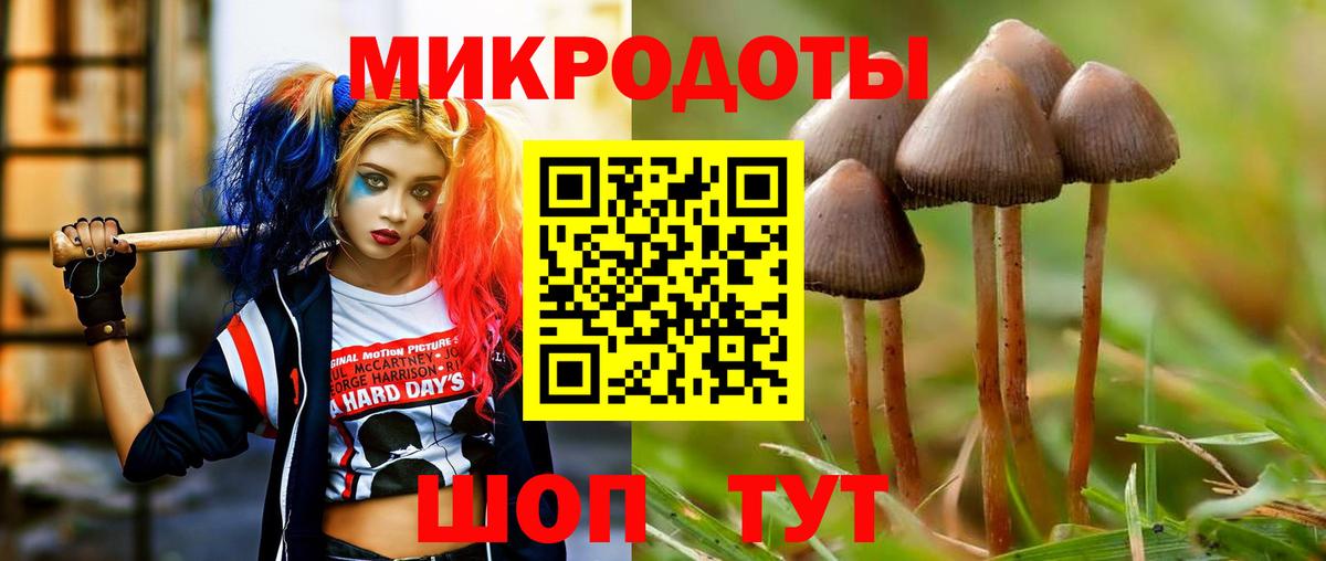 цены   Псилоцибиновые грибы Psilocybine cubensis  Боровичи  Вход с VPN  Псилоцибиновые грибы Psilocybe 