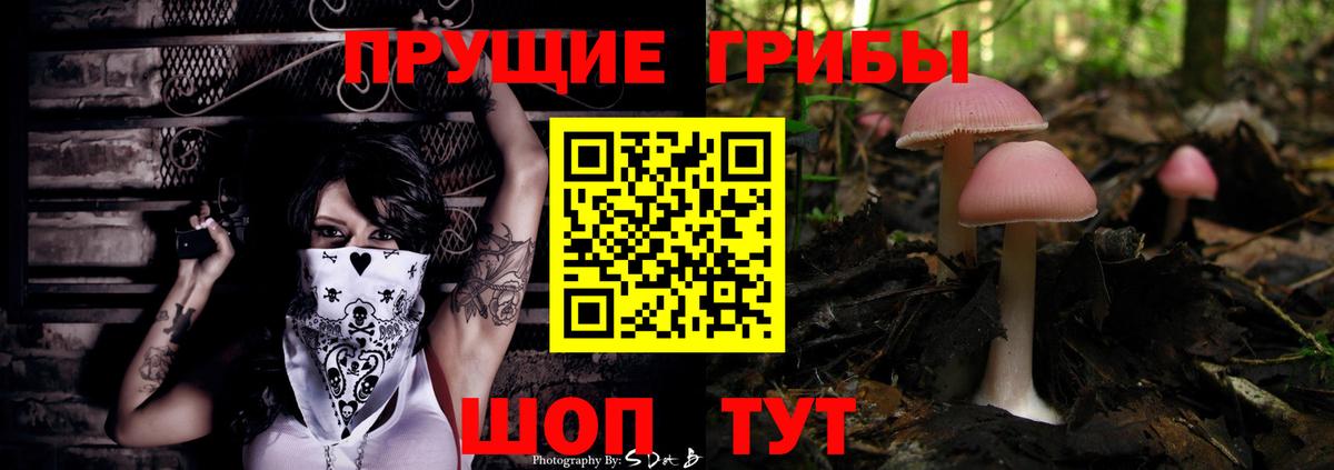 Псилоцибиновые грибы прущие грибы Боровичи