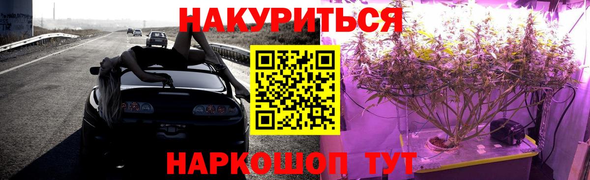 Бошки Шишки планчик Боровичи